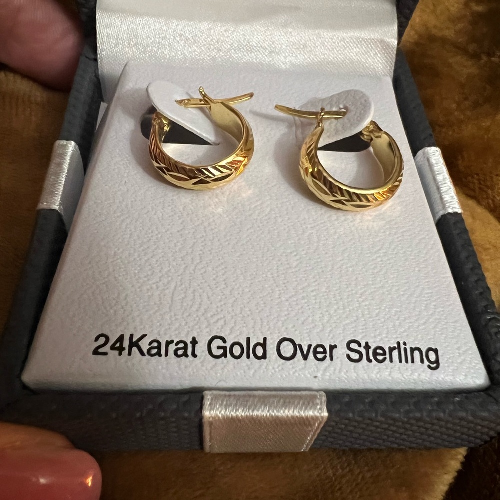 Gold Hoop Huggie Earrings - 24k